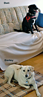 Bati und Bailey